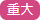 重大